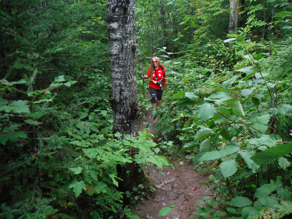 Over the plank and into the woods